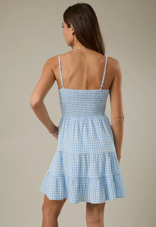 Gingham Dress - Blue